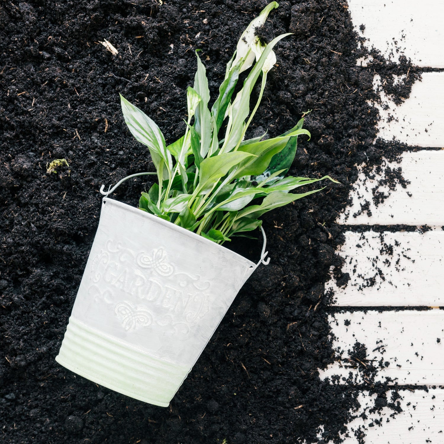 Organic Vermicompost Black Soil for Plants Health Manure (1 KG Approx) Organic Vermicompost Black Soil for Plants Health Manure (1 KG Approx)